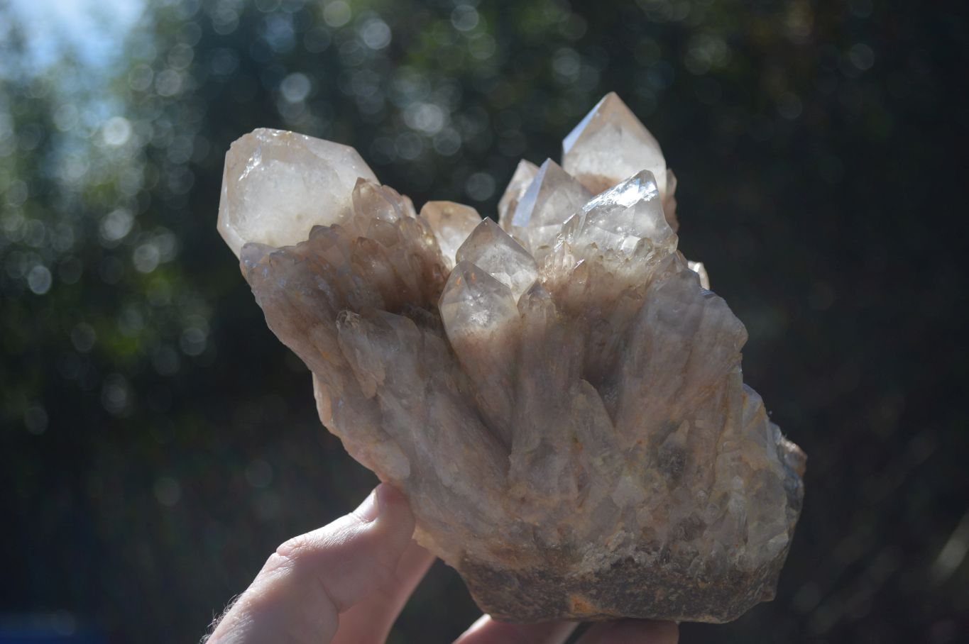 Natural Cascading White Phantom Smokey Quartz Cluster  x 1 From Congo - Toprock Gemstones and Minerals 