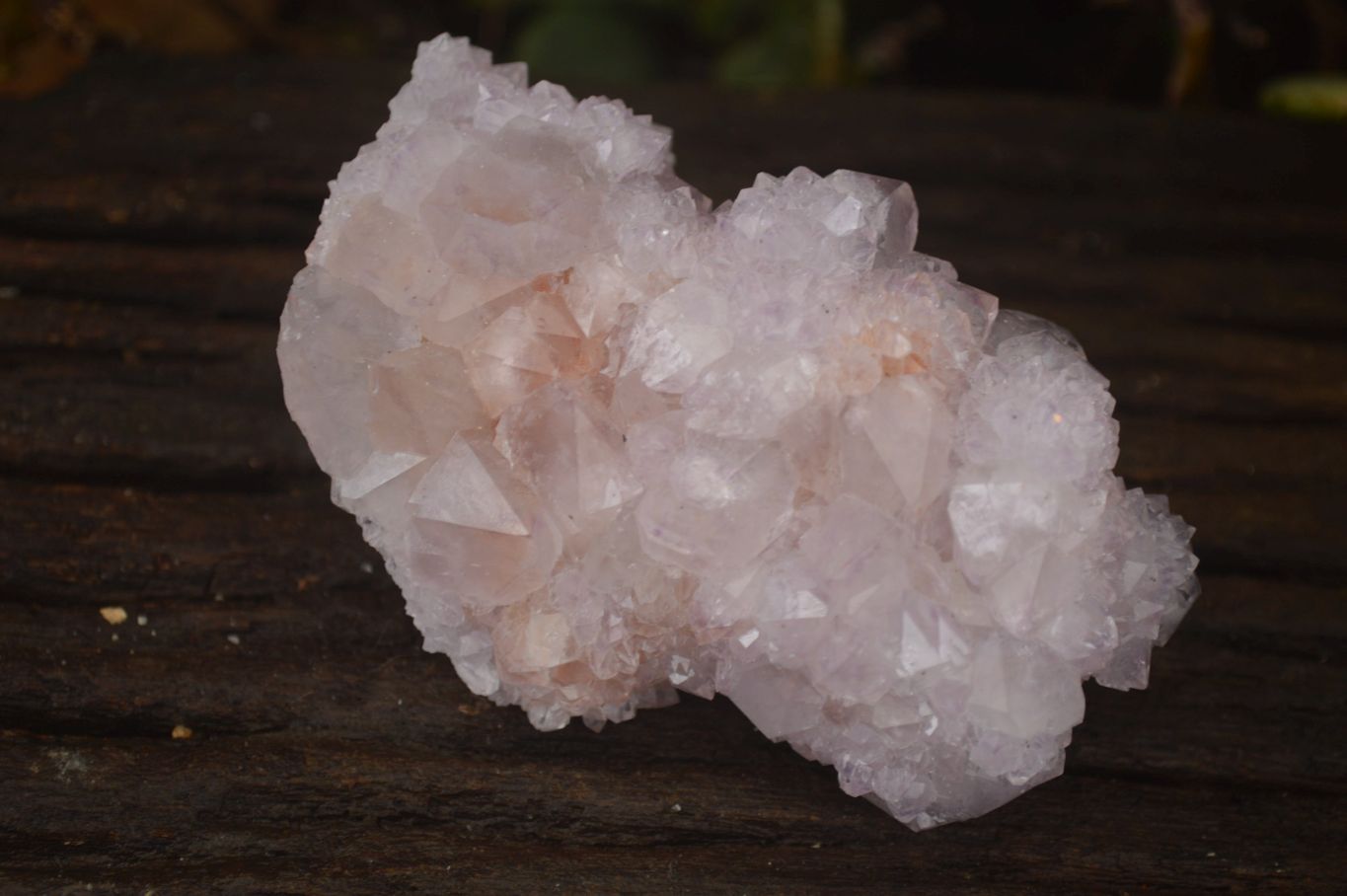 Natural Spirit Amethyst Quartz Clusters x 6 From Boekenhouthoek, South Africa - Toprock Gemstones and Minerals 