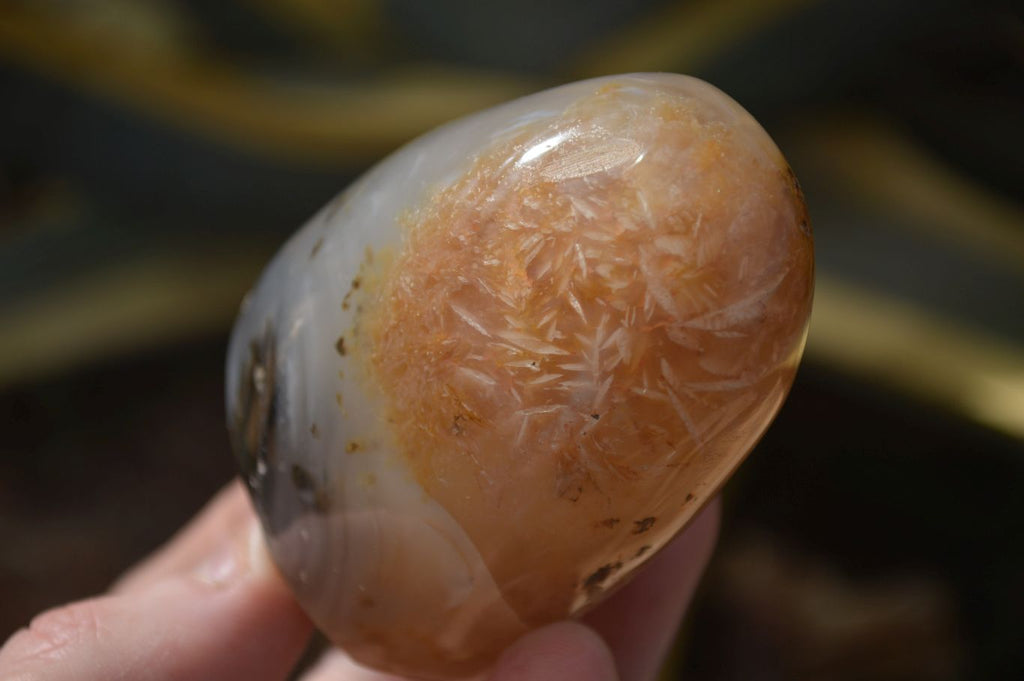 Polished Mixed Agate Standing Free Forms  x 6 From Madagascar - Toprock Gemstones and Minerals 
