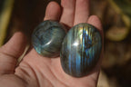Polished Labradorite Galets (Palm Stones)  - Sold per 1 kg - From Tulear, Madagascar - Toprock Gemstones and Minerals 