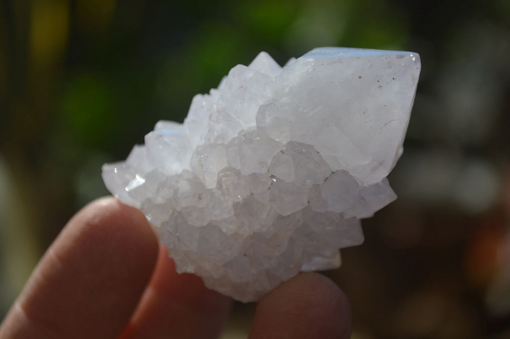 Natural Mixed Spirit Quartz Specimens x 12 From Boekenhouthoek, South Africa - Toprock Gemstones and Minerals 