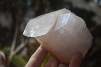 Natural Clear Quartz Crystal Specimens x 3 From Mpika, Zambia - Toprock Gemstones and Minerals 