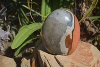 Polished Polychrome Jasper Standing Free Form  x 1 From Mahajanga, Madagascar - Toprock Gemstones and Minerals 