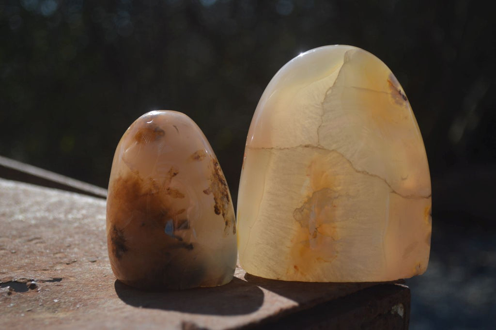 Polished Mixed Agate Standing Free Forms  x 6 From Madagascar - Toprock Gemstones and Minerals 