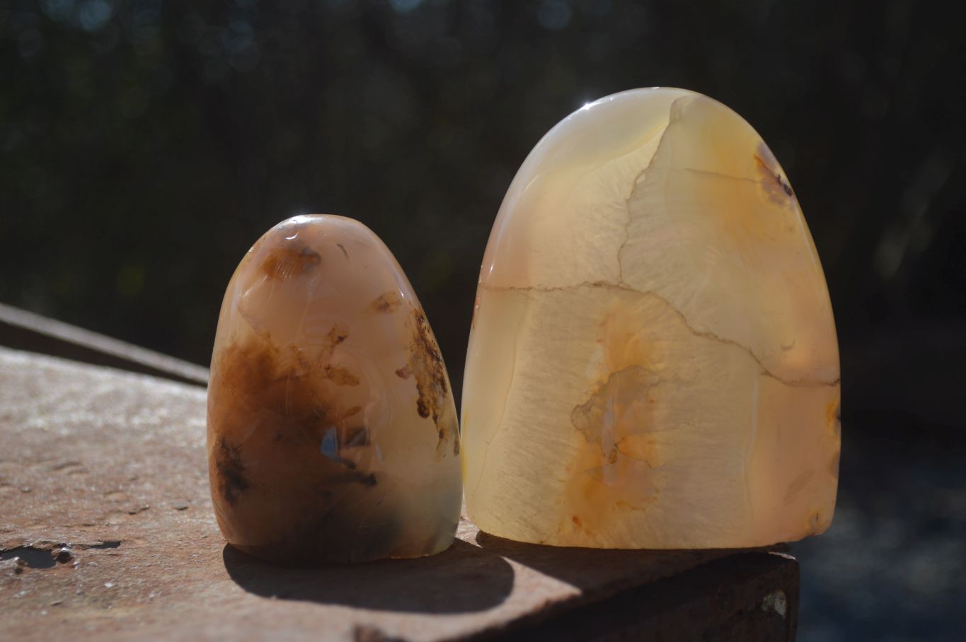 Polished Mixed Agate Standing Free Forms  x 6 From Madagascar - Toprock Gemstones and Minerals 