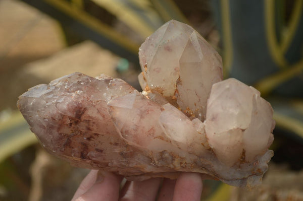 Natural Red Hematoid Quartz Clusters x 3 From Karoi, Zimbabwe - Toprock Gemstones and Minerals 