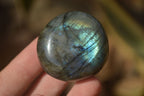 Polished Labradorite Galets (Palm Stones)  - Sold per 1 kg - From Tulear, Madagascar - Toprock Gemstones and Minerals 
