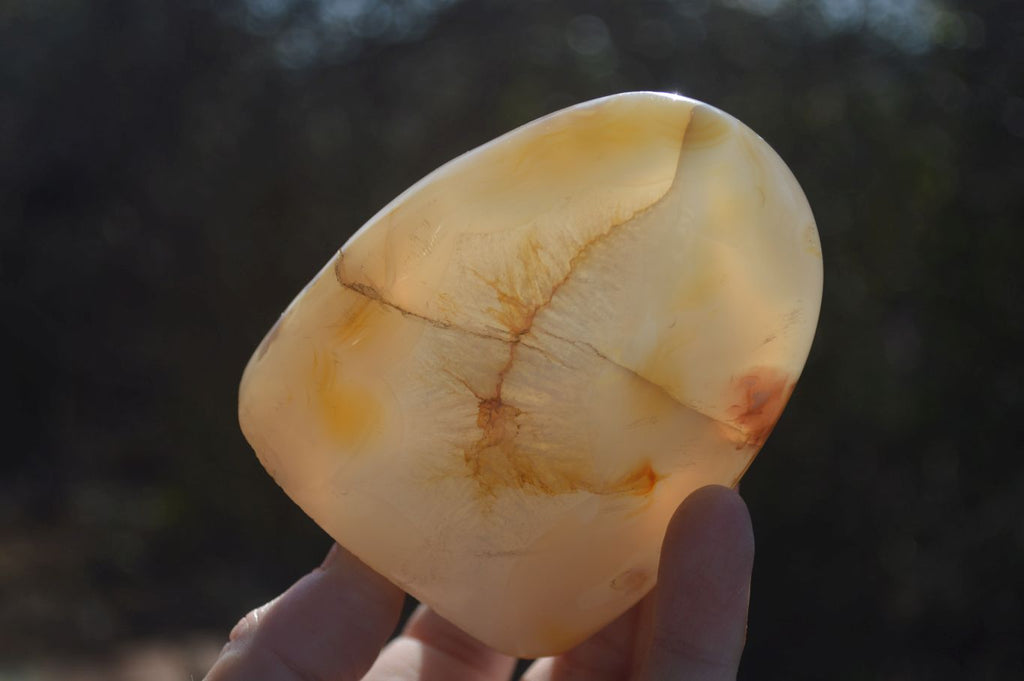 Polished Mixed Agate Standing Free Forms  x 6 From Madagascar - Toprock Gemstones and Minerals 