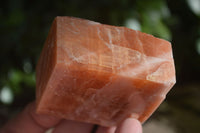 Natural New Sunset Orange Calcite Specimens  x 12 From Spitzkop, Namibia - Toprock Gemstones and Minerals 