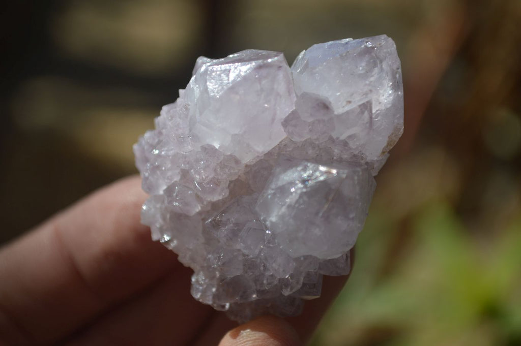 Natural Mixed Spirit Quartz Specimens x 12 From Boekenhouthoek, South Africa - Toprock Gemstones and Minerals 