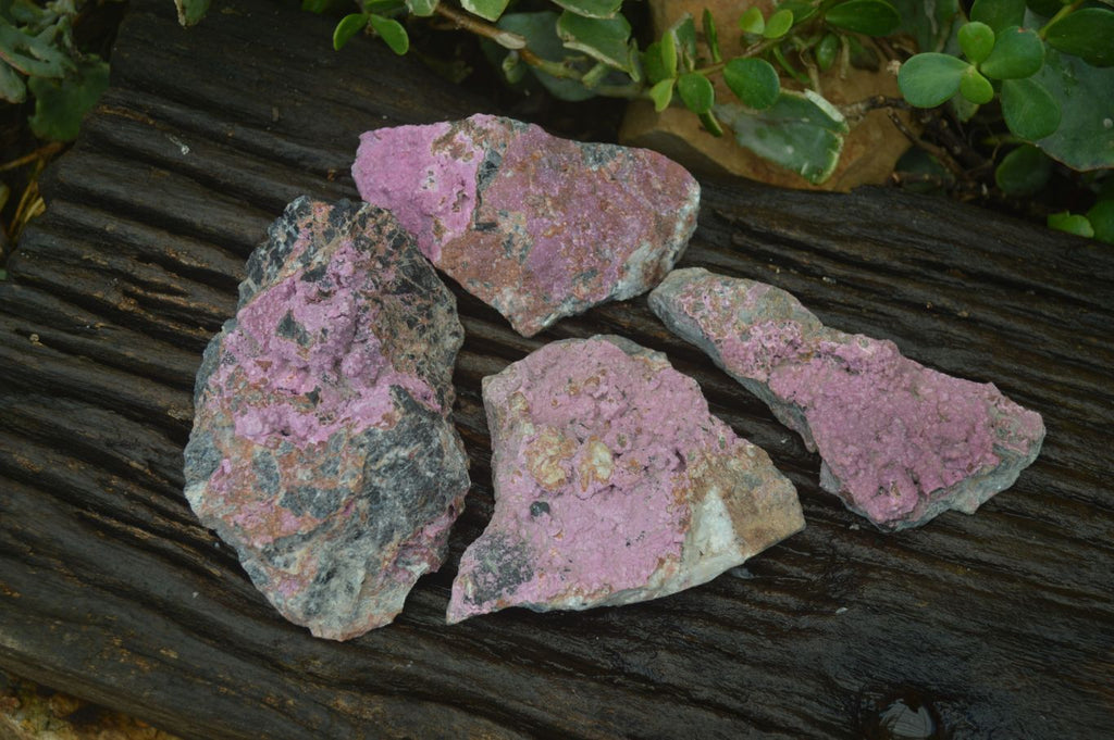 Natural Pink Salrose Cobaltion Dolomite Specimens  x 4 From Kakanda, Congo - Toprock Gemstones and Minerals 