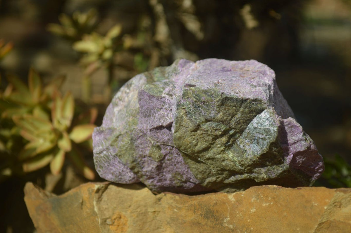 Natural Rough Stichtite & Serpentine Specimens x 3 From Barberton, South Africa - Toprock Gemstones and Minerals 