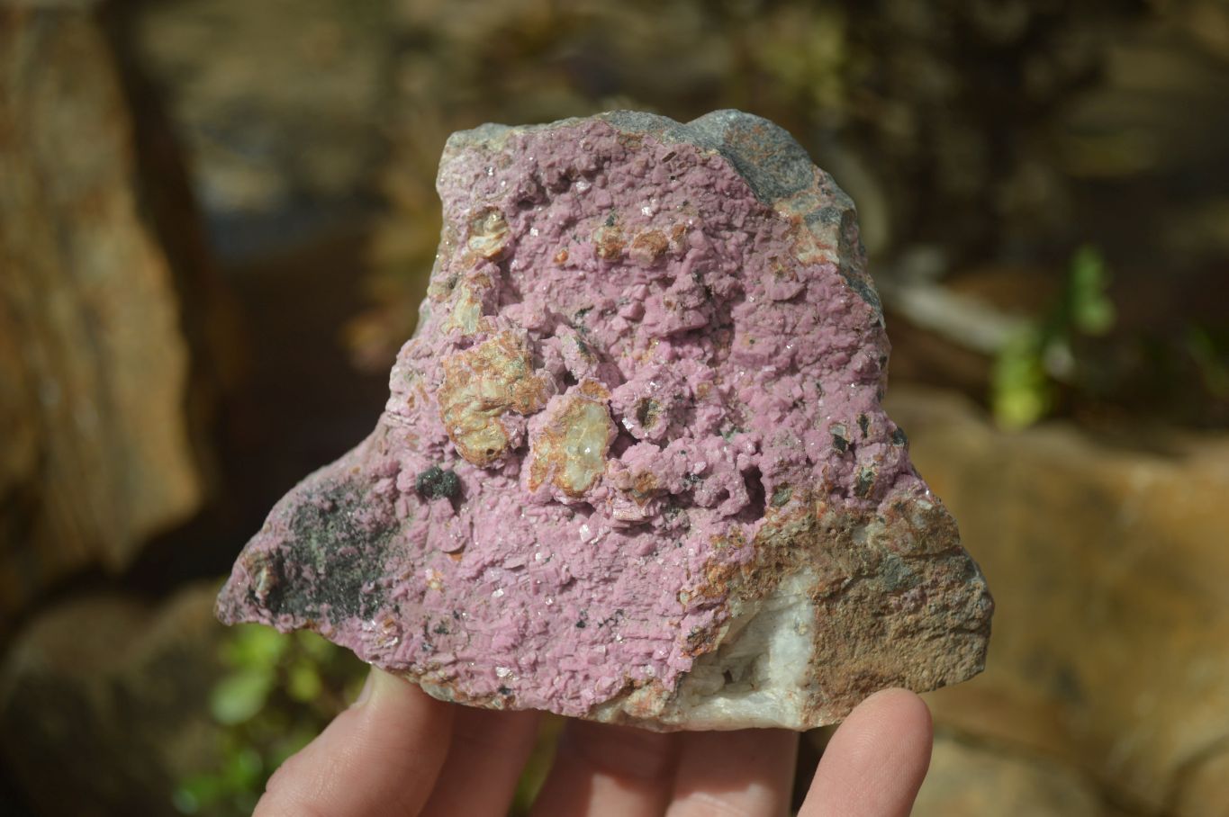 Natural Pink Salrose Cobaltion Dolomite Specimens  x 4 From Kakanda, Congo - Toprock Gemstones and Minerals 