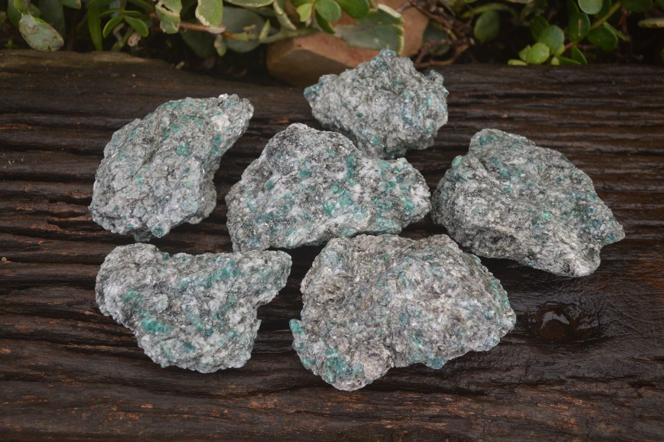 Natural Rare Emerald Mica In Matrix Cobbed Specimens x 6 From Mutoko, Zimbabwe - Toprock Gemstones and Minerals 
