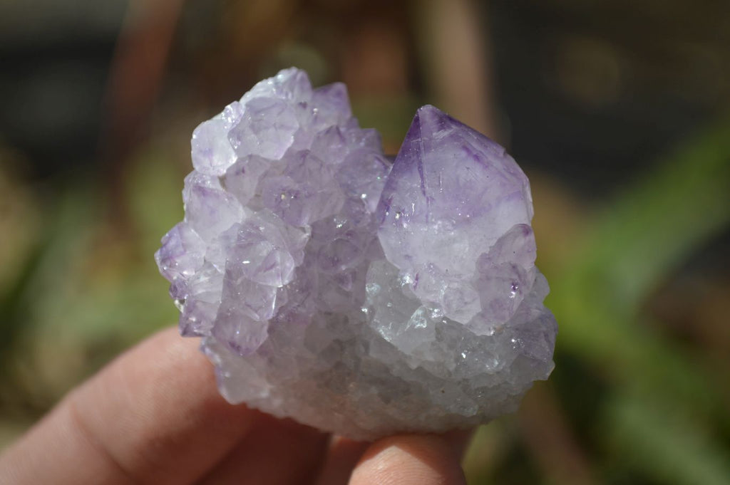 Natural Mixed Spirit Quartz Specimens x 12 From Boekenhouthoek, South Africa - Toprock Gemstones and Minerals 