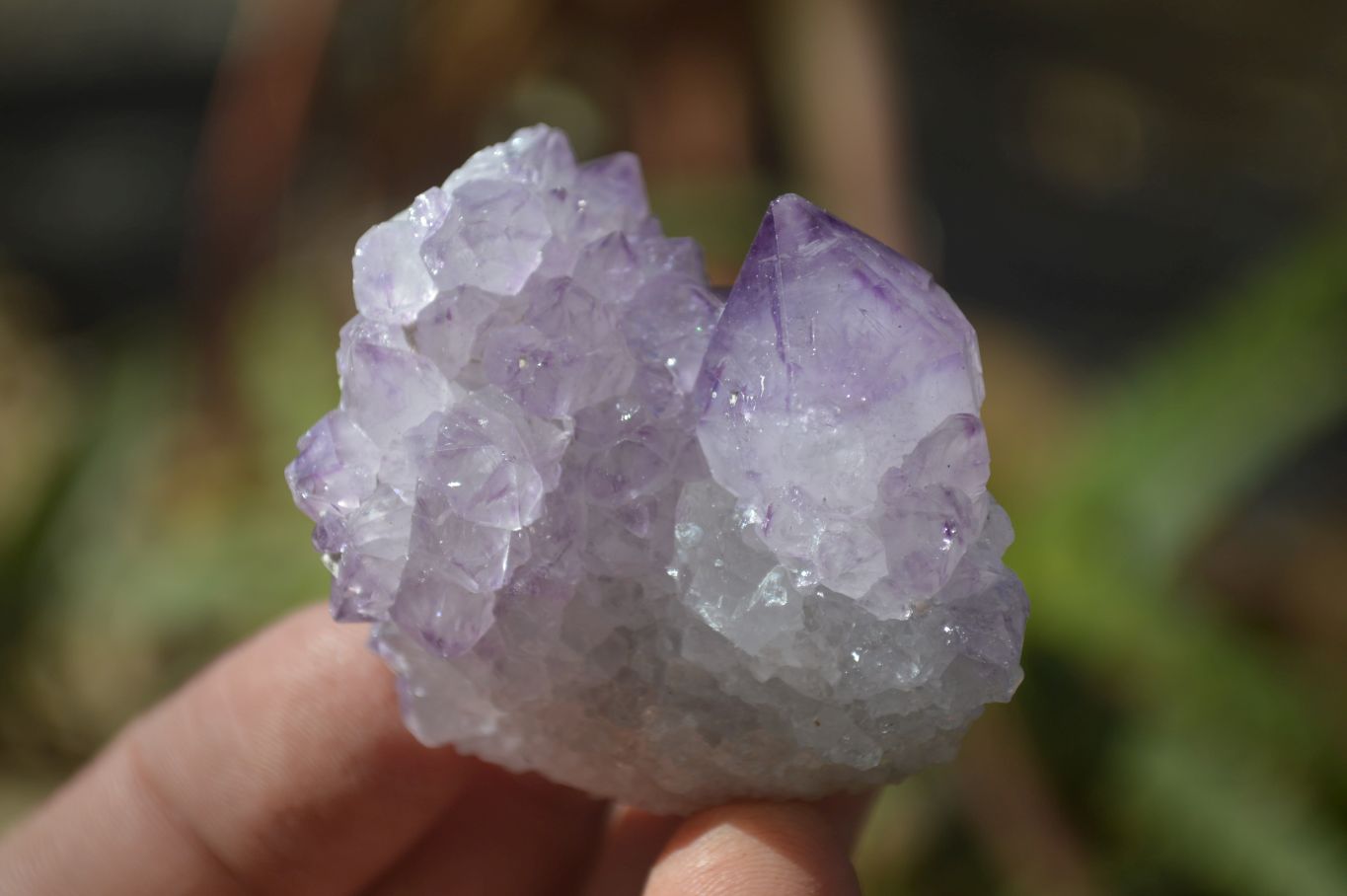 Natural Mixed Spirit Quartz Specimens x 12 From Boekenhouthoek, South Africa - Toprock Gemstones and Minerals 