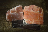Natural New Sunset Orange Calcite Specimens  x 12 From Spitzkop, Namibia - Toprock Gemstones and Minerals 