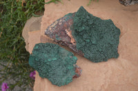 Natural Crystalline Malachite Specimens  x 2 From Congo - Toprock Gemstones and Minerals 