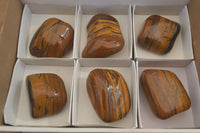 Polished Golden Tigers Eye Free Forms x 6 From Prieska, Northern Cape