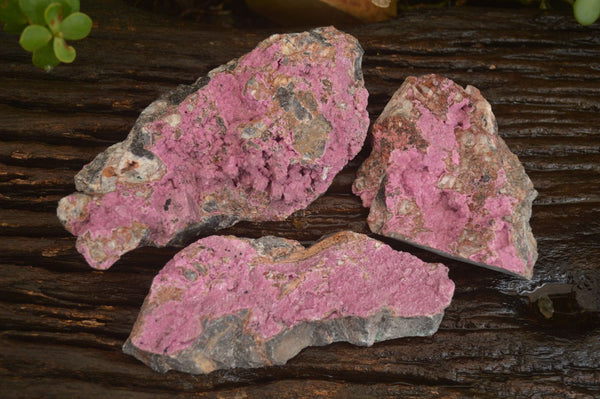 Natural Extra Large Pink Salrose Cobaltion Dolomite Specimens  x 3 From Kakanda, Congo