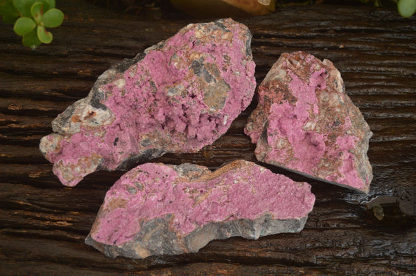 Natural Extra Large Pink Salrose Cobaltion Dolomite Specimens  x 3 From Kakanda, Congo - Toprock Gemstones and Minerals 