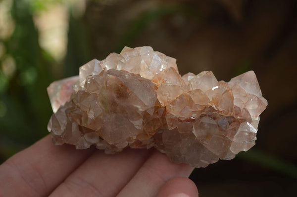 Natural Mixed Spirit Amethyst Quartz Clusters  x 12 From Boekenhouthoek, South Africa