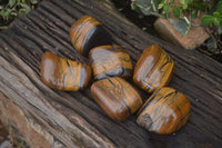 Polished Golden Tigers Eye Free Forms x 6 From Prieska, Northern Cape