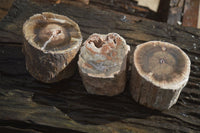 Polished Petrified Wood Branch Pieces x 3 From Gokwe, Zimbabwe - Toprock Gemstones and Minerals 