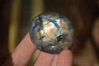 Polished Labradorite Galets (Palm Stones)  - Sold per 1 kg - From Tulear, Madagascar - Toprock Gemstones and Minerals 