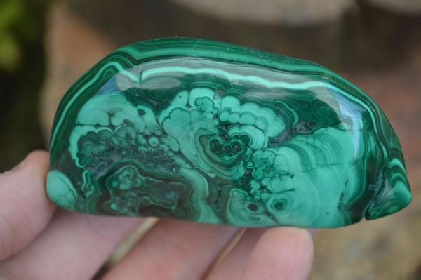 Polished Malachite Free Forms With Stunning Flower & Banding Patterns x 6 From Congo - Toprock Gemstones and Minerals 