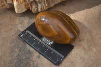 Polished Golden Tigers Eye Free Forms x 6 From Prieska, Northern Cape
