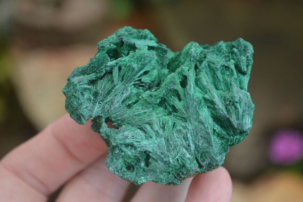 Natural Chatoyant Silky Malachite Specimens  x 6 From Kasompe, Congo - Toprock Gemstones and Minerals 