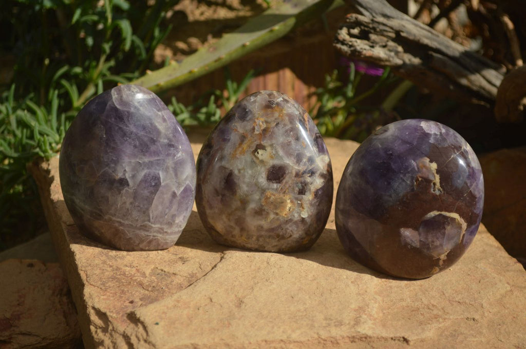 Polished Amethyst Standing Free Forms x 3 From Madagascar - Toprock Gemstones and Minerals 