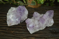 Natural Jacaranda Amethyst Clusters x 2 From Zambia - Toprock Gemstones and Minerals 