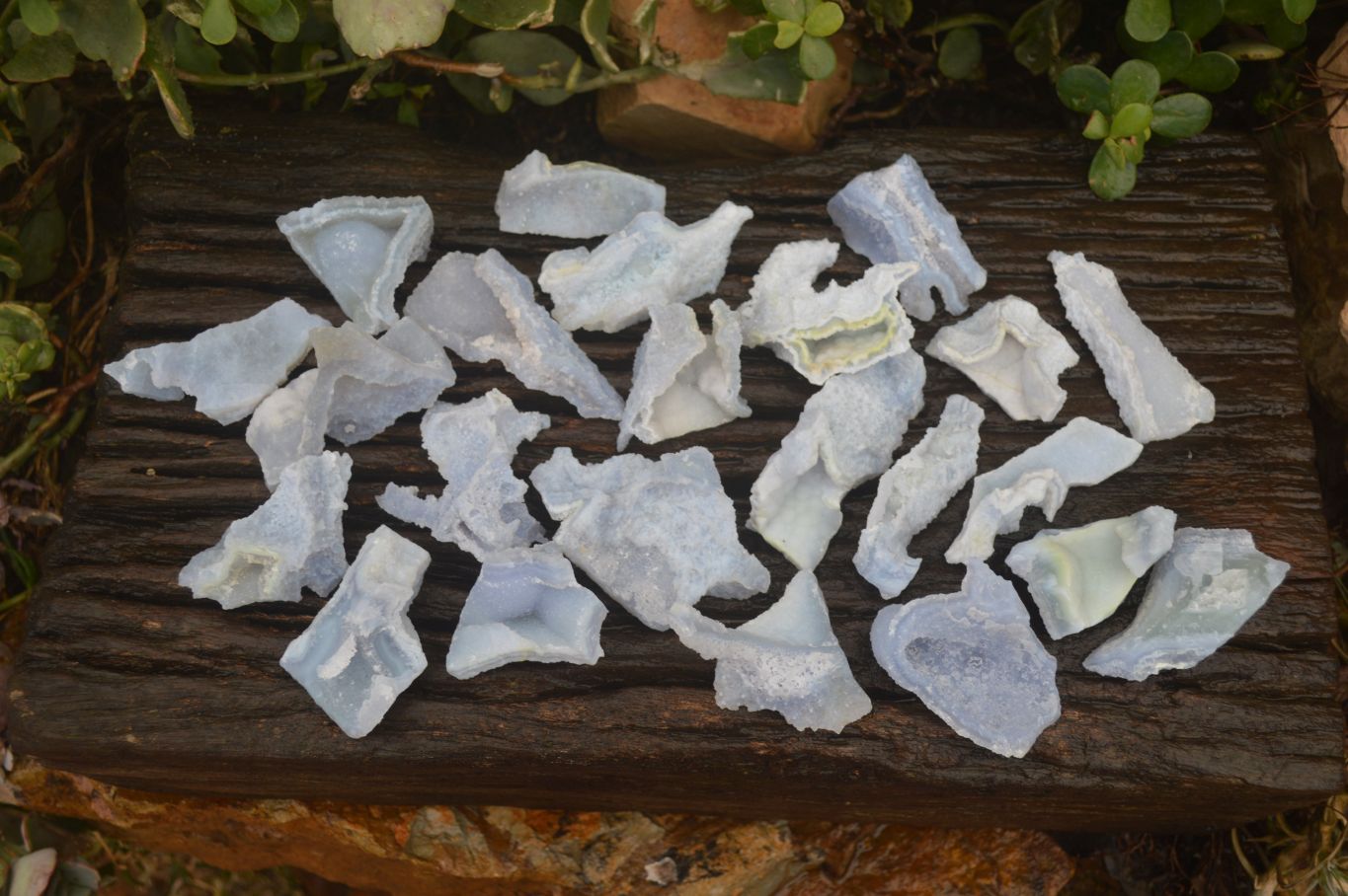 Natural Etched Blue Chalcedony Specimens  x 35 From Nsanje, Malawi - Toprock Gemstones and Minerals 