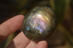Polished Labradorite Galets (Palm Stones)  - Sold per 1 kg - From Tulear, Madagascar - Toprock Gemstones and Minerals 