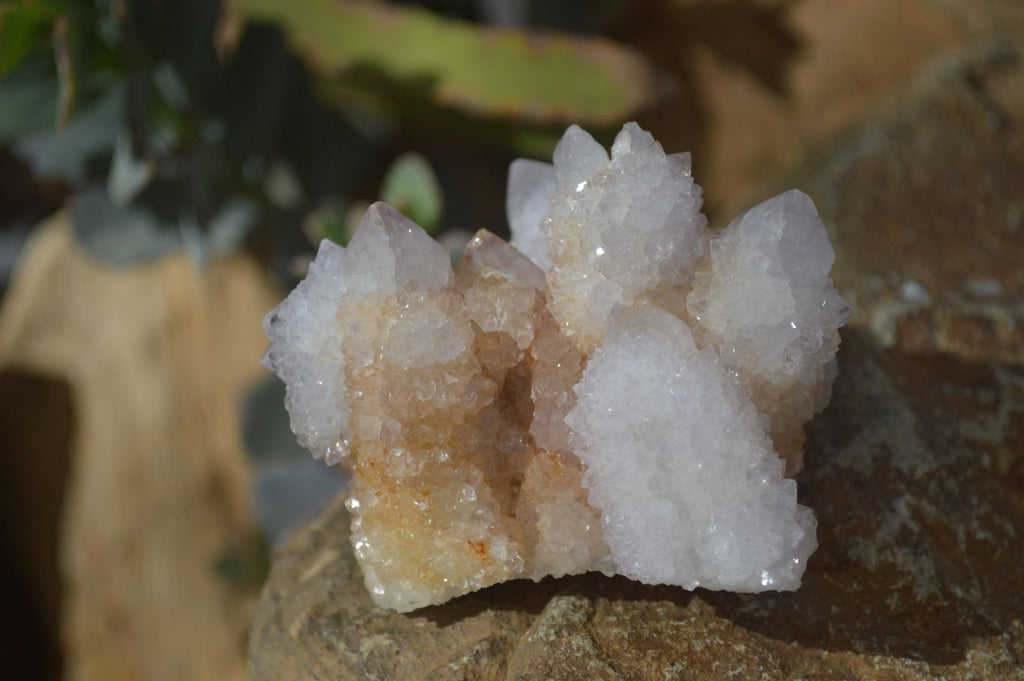 Natural Mixed Spirit Quartz Specimens x 12 From Boekenhouthoek, South Africa - Toprock Gemstones and Minerals 