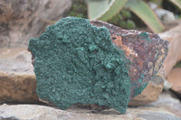 Natural Crystalline Malachite Specimens  x 2 From Congo - Toprock Gemstones and Minerals 