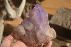 Natural Jacaranda Amethyst Clusters x 2 From Zambia - Toprock Gemstones and Minerals 