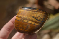 Polished Golden Tigers Eye Free Forms x 6 From Prieska, Northern Cape