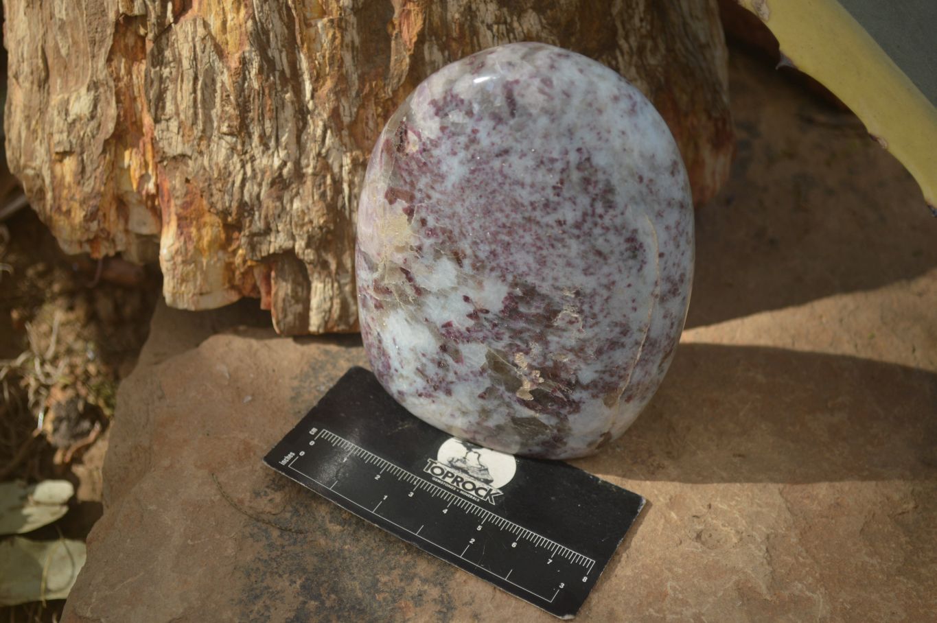 Polished Rubellite Pink Tourmaline Matrix Standing Free Forms x 2 From Namibia - Toprock Gemstones and Minerals 