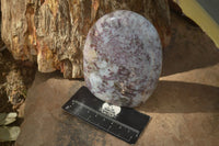 Polished Rubellite Pink Tourmaline Matrix Standing Free Forms x 2 From Namibia - Toprock Gemstones and Minerals 