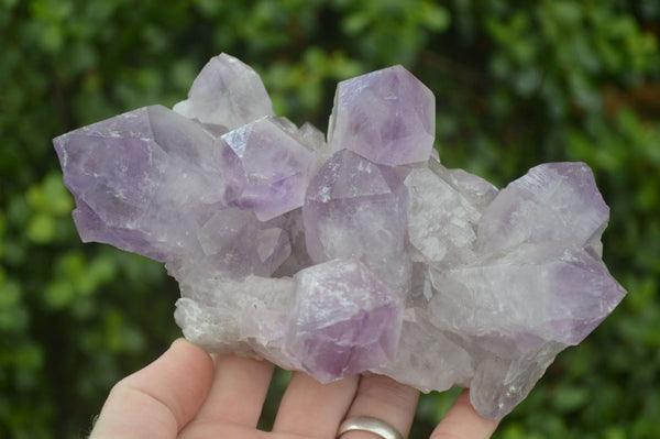 Natural Jacaranda Amethyst Clusters x 2 From Zambia - Toprock Gemstones and Minerals 