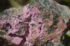 Natural Pink Salrose Cobaltion Dolomite Specimens  x 4 From Kakanda, Congo - Toprock Gemstones and Minerals 
