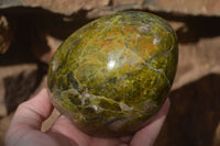 Polished Green Opal Standing Free Forms  x 2 From Madagascar - Toprock Gemstones and Minerals 