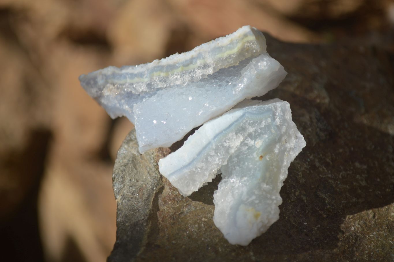 Natural Etched Blue Chalcedony Specimens  x 35 From Nsanje, Malawi - Toprock Gemstones and Minerals 