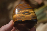Polished Golden Tigers Eye Free Forms x 6 From Prieska, Northern Cape