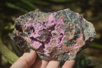 Natural Pink Salrose Cobaltion Dolomite Specimens  x 4 From Kakanda, Congo - Toprock Gemstones and Minerals 