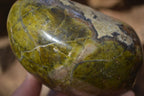 Polished Green Opal Standing Free Forms  x 2 From Madagascar - Toprock Gemstones and Minerals 