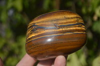 Polished Golden Tigers Eye Free Forms x 6 From Prieska, Northern Cape